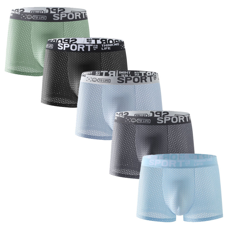 Mesh Sport Boxer - Conjunto de 5 cuecas boxer masculinas