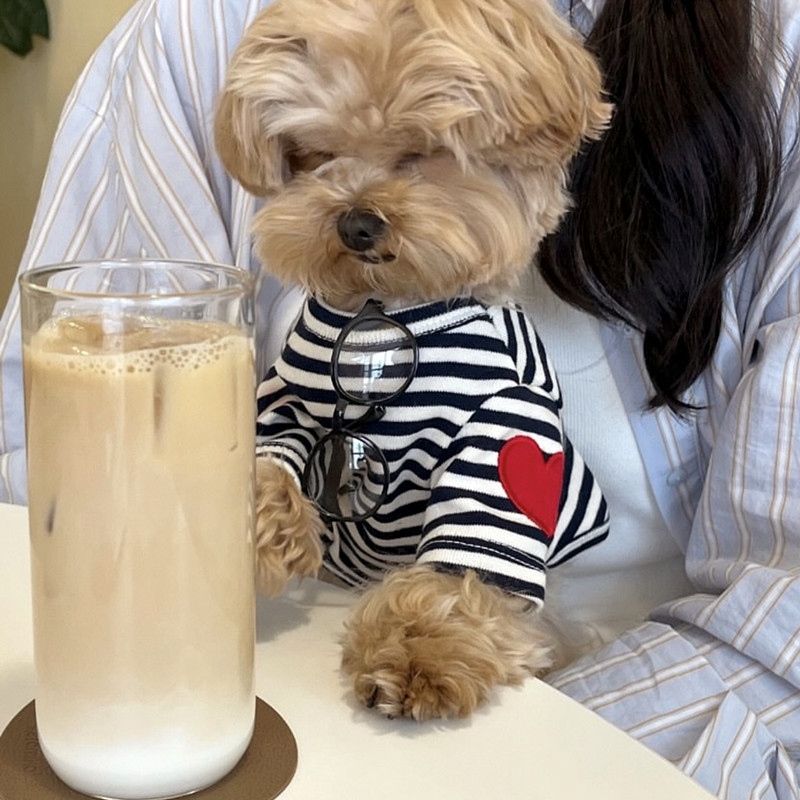 Colete para Cães Pequenos, Rou - Sleeveless Undershirt avaliação e preço